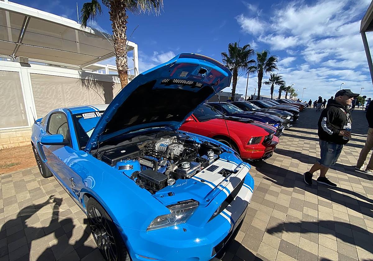 Coches 'Muscle cars' americanos en Dénia Las Provincias